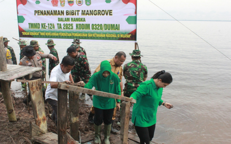 Tanam Ratusan Pohon Mangrove oleh Satgas TMMD Kodim Dumai