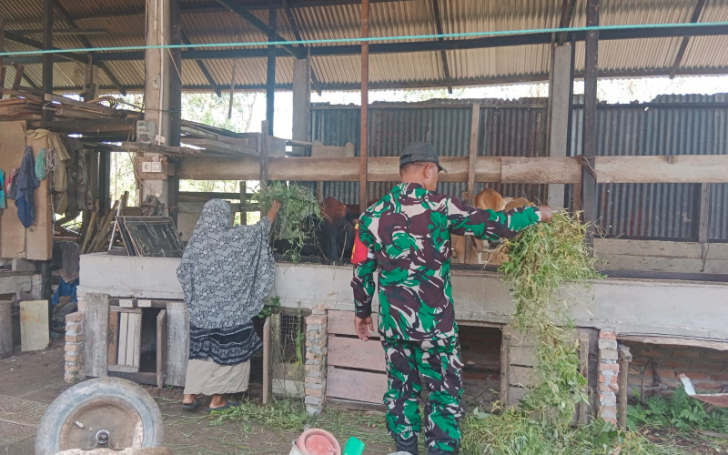 Cegah Penyakit Menular Hewan Ternak, Babinsa Koramil 01 Dumai Sosialisasi