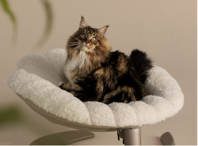 Tavo Unveils the Shell™ - A Pet's Elevated Sanctuary of Comfort and Style