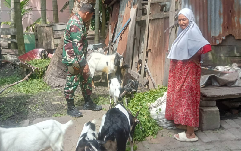 Serda Miftah Lakukan Pemantauan Hewan Ternak di Batu Teritip, Pastikan Bebas PMK