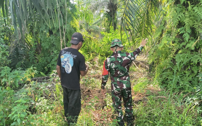 Patroli Terpadu dan Edukasi Warga, Babinsa Pastikan Wilayah Tetap Aman dari Karhutla