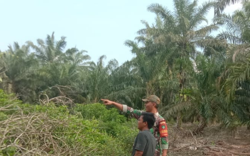 Sertu Ramli Lakukan Patroli dan Edukasi Warga Cegah Kebakaran Lahan