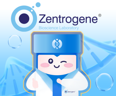 Hong Kong Lab Zentrogene Cracks Twin DNA Code; Gender Mystery Solved for Moms Worldwide