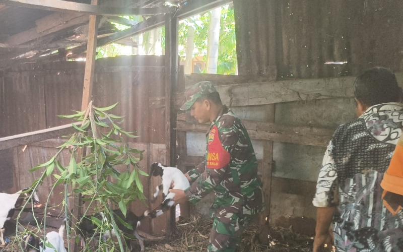 Dandim Dumai Instruksikan Babinsa Sosialisasikan Pencegahan Wabah PMK di Peternakan