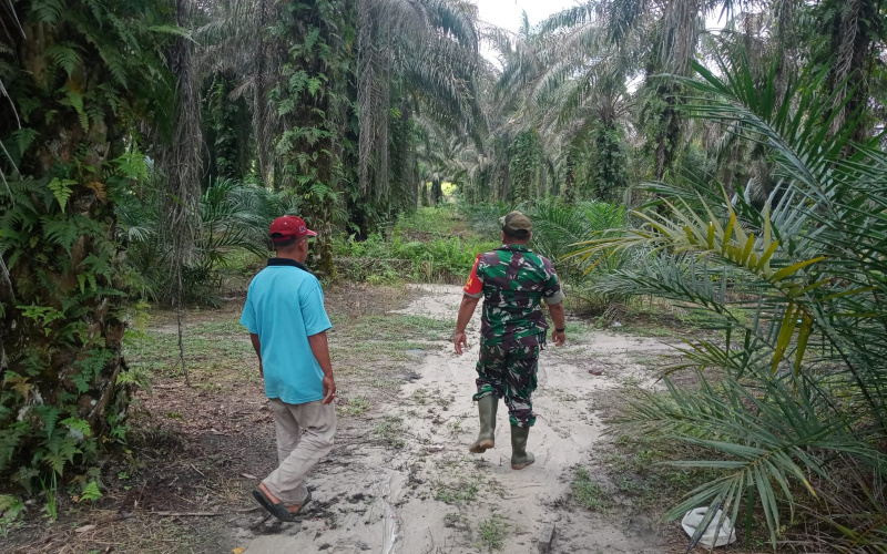Babinsa Bagan Besar Rutin Patroli, Imbau Warga Waspada Terhadap Karhutla