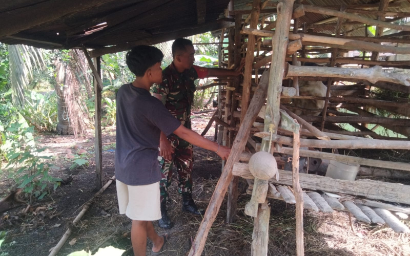 Babinsa Koramil 01 Sosialisasi dan Edukasi Terkait Bahaya PMK