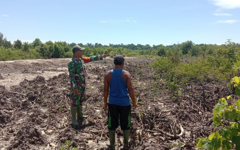 Patroli Karhutla oleh Babinsa Basilam Baru dari Koramil 03