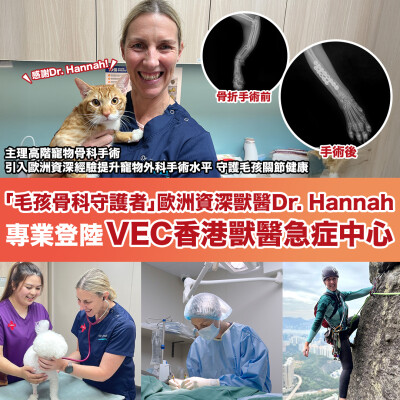 Veterinary Orthopedic Guardian: Dokter Bedah Hewan Eropa Dr. Hannah Bermitra dengan VEC Hong Kong