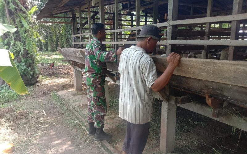 Koramil 03 Aktif Giat PMK, Sosialisasi Para Peternak