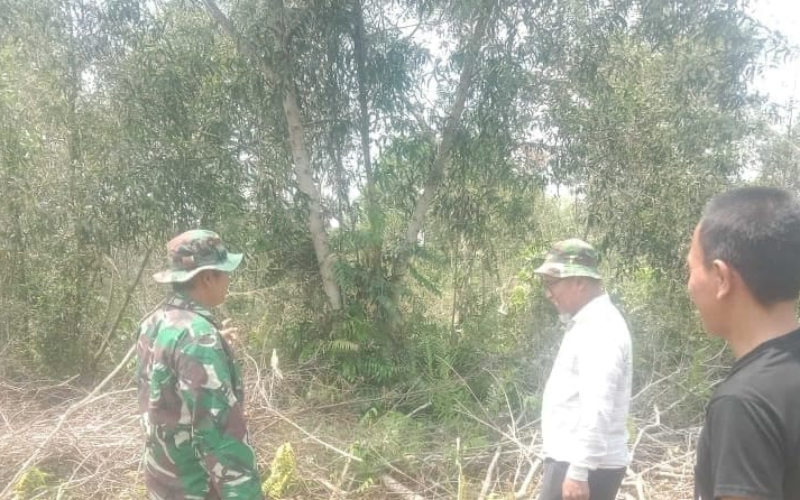Sertu SMP Sinaga Imbau Warga Hindari Bakar Lahan, Sekaligus Tanam Pepaya