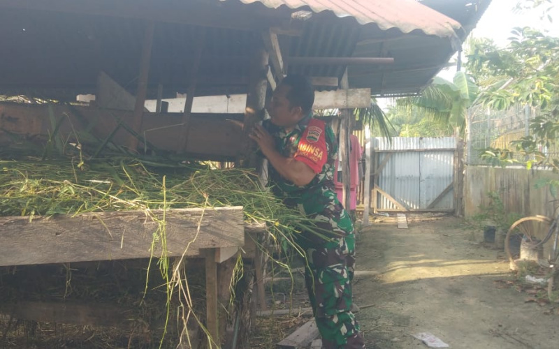 Babinsa Sukajadi Laksanakan Sosialisasi di Peternakan Milik Warga