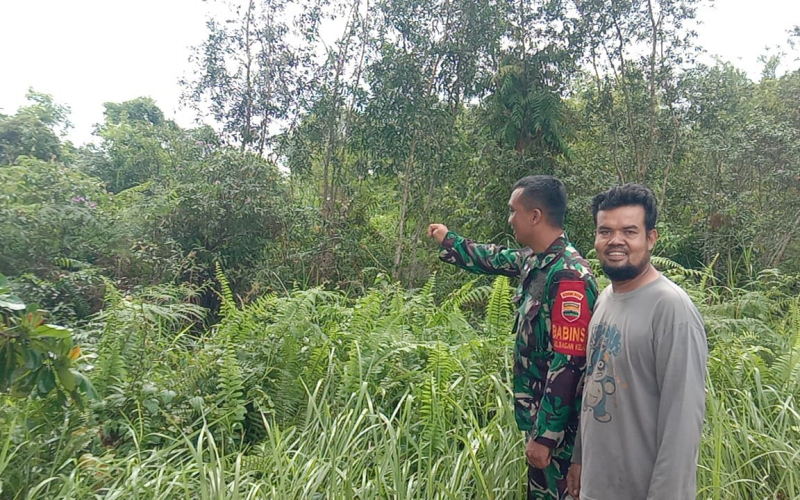 Beri Pendampingan Kepada Petani Bayam oleh Babinsa Serda Priyo S