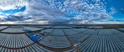 Industri Spirulina China Perluas Jangkauan Global, Mempromosikan Manfaat Kesehatan dan Nutrisi