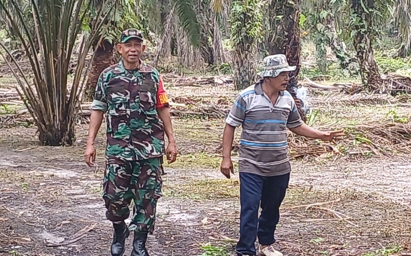 Babinsa Koramil 02 BK Wilayah Gurun Panjang Giat Patroli Karhutla