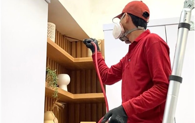 Membedakan Rayap Tanah dan Rayap Kayu Kering: Pengetahuan Dasar untuk Perlindungan Rumah