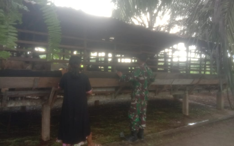 Babinsa Koramil 03 Pantau Peternakan di Lubuk Gaung