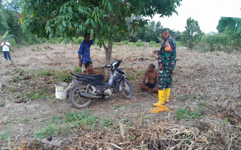 Babinsa Kelurahan Bukit Timah Sosialisasi Pendampingan Karya Nyata Tanaman Ubi Warga