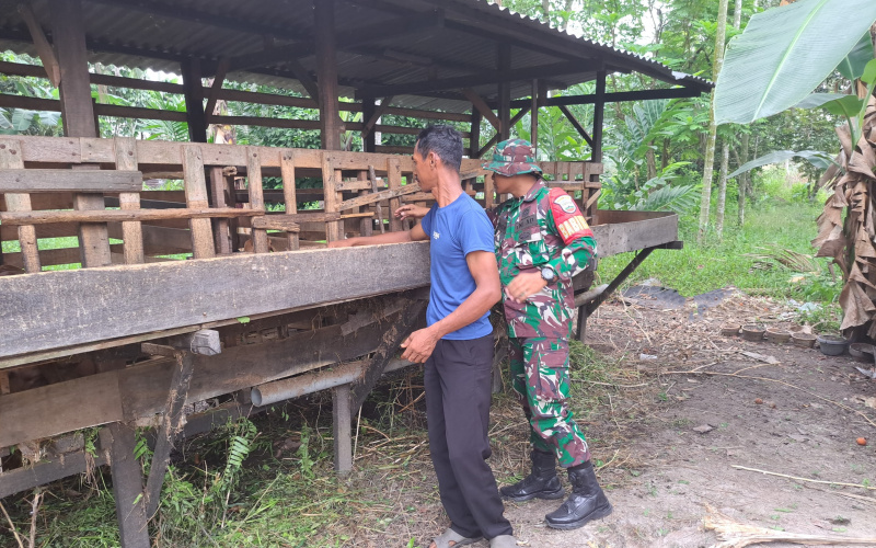 Babinsa Serda Andri Widodo Beri Edukasi Cegah Wabah PMK