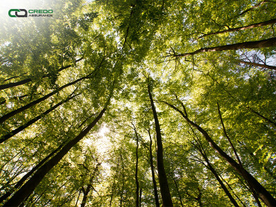 Credo Assurance Raih Sertifikasi ESG untuk Mendukung Pelaporan Keberlanjutan