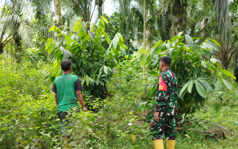 Babinsa Koramil 03/SS Pastikan Wilayah Batu Teritip Aman dari Karhutla