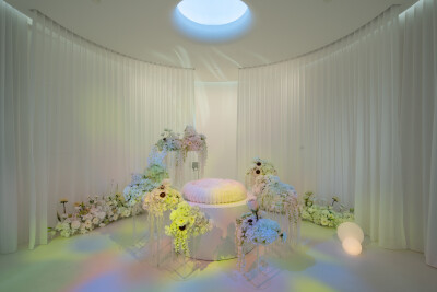 Tim di Balik Casket Fairprice Luncurkan Everpet, Perusahaan Pemakaman Hewan Peliharaan di Singapura