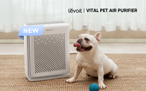 Levoit Australia Launches Vital Series for Australia's Growing Pet Community