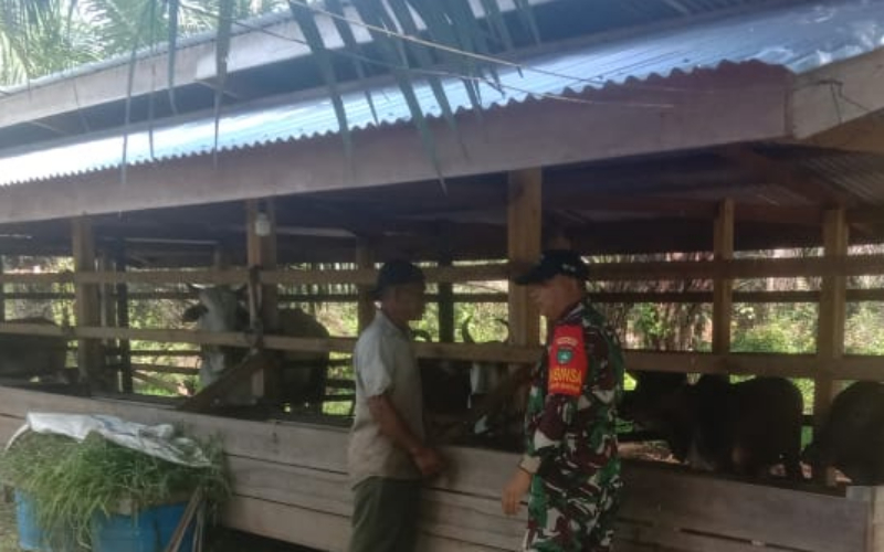 Sertu Cerzakatno: Kesehatan Ternak Bagian dari Ketahanan Pangan Masyarakat