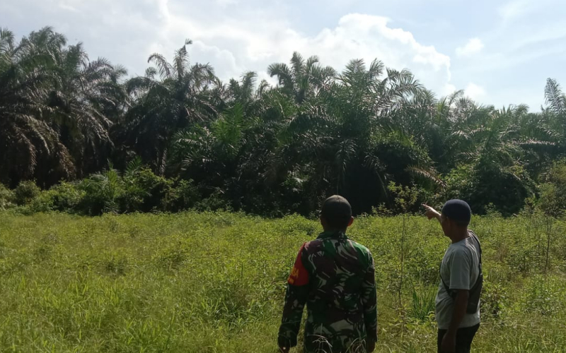 Babinsa Basilam Baru Aktif Patroli Karhutla, ini Tujuannya