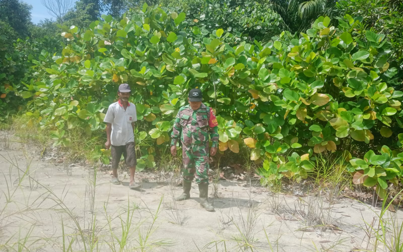 Rutin, Babinsa dari Bagan Besar Laksanakan Patroli Keamanan