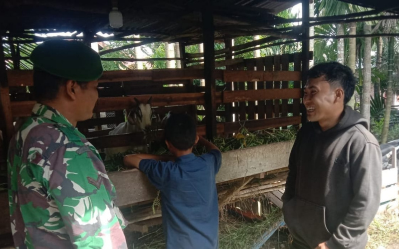 Kegiatan Rutin Babinsa Koramil 01 Dumai Sambang Peternakan