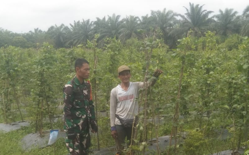 Serda Erwan Kembali Menunjukkan Peran Aktifnya dalam Mendampingi para Petani