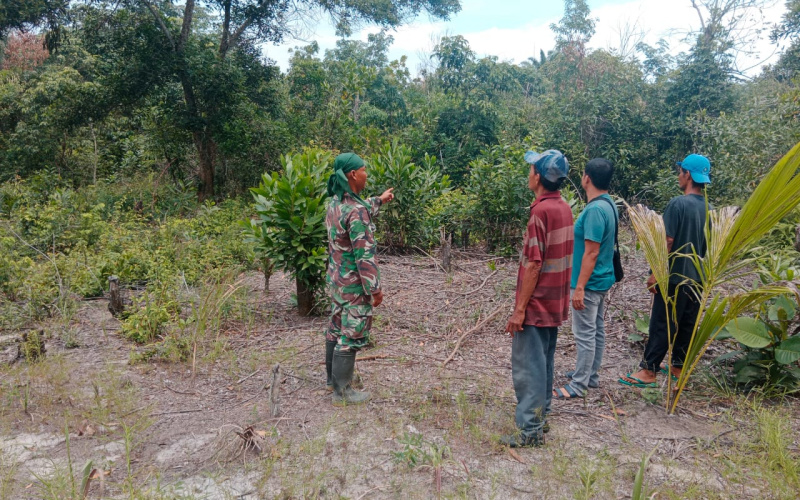 Babinsa 03 Sei Sembilan Patroli Karhutla di Titik Rawan