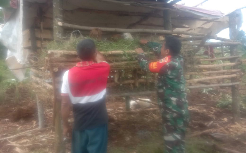 Cegah Wabah PMK, Babinsa dari Koramill 01 Sosialisasi di Ternak Milik Misrin