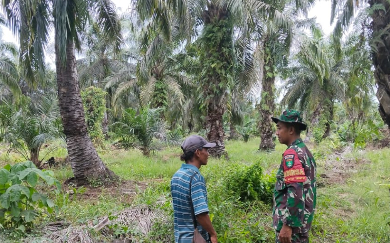 Cegah Kebakaran Lahan, Babinsa Sungai Sembilan Turun Langsung Sosialisasi ke Warga