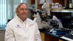 Countdown Awards Research Grant to Advance Mitochondrial Transplantation in Duchenne Muscular Dystrophy