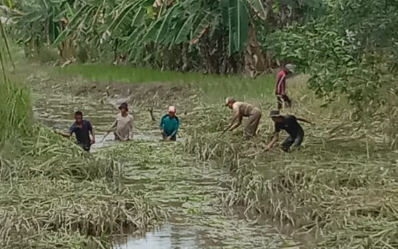 Warga Rutin Bersihkan Anak Sungai di Tanjung Harapan