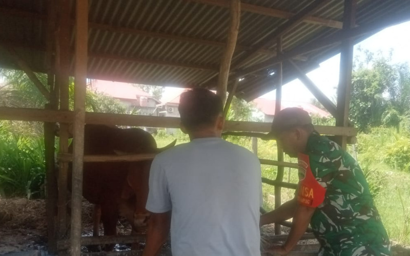 Babinsa Rimba Sekampung Berikan Pendampingan dan Edukasi Kepada Peternak