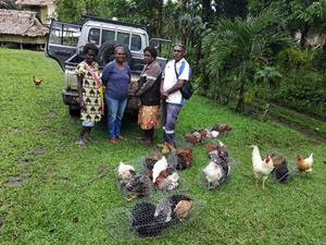 Island Passage Exploration, Isina Resource Holdings, and Kyeema Foundation Launch the “Golden Flock” Village Chicken Project to Bring Healthy Local Protein to the People of the EL02 Project in Bougainville