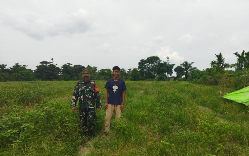 TNI Dorong Pengelolaan Lahan Ramah Lingkungan, Warga Bukit Timah Diajari Tanam Jeruk Nipis