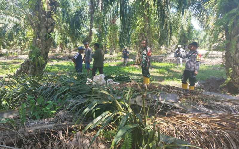 Patroli Pencegahan Kebakaran Hutan, ini Pesan Serda Miftah