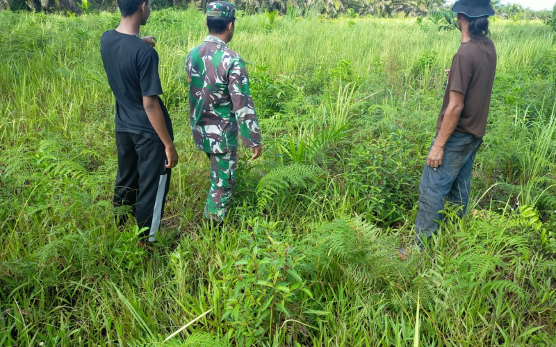 Serda Iwan Sahputra Giat Rutin Laksanakan Patroli, Cegah Terjadi Karhutla