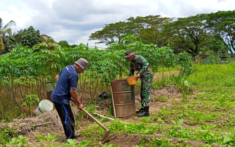 Produktif Tanpa Merusak, Babinsa Dampingi Petani Terung, Cabai, dan Singkong