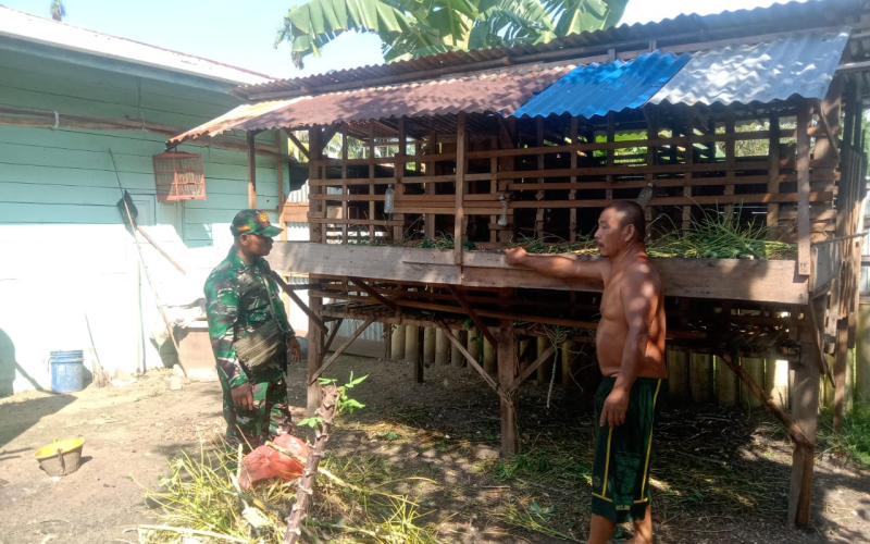 Cegah Penyakit Mulut dan Kuku, Babinsa Mekarsari Periksa Kambing Warga Purnama
