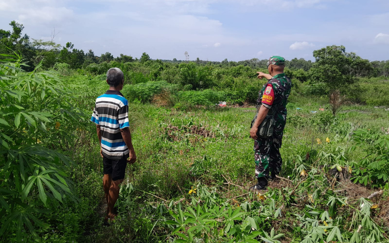 Babinsa Kelurahan Bukit Timah Patroli Cegah Karhutla