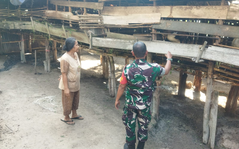 Babinsa Koramil 01 Cegah PMK di Kelurahan Mekar Sari