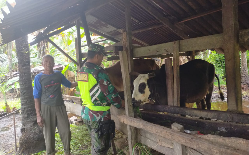 Koramil 03 Gencar Sosialisasi di Peternakan, Berikut Penjelasannya