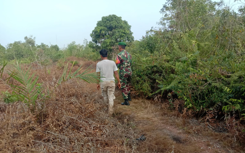 Babinsa Bagan Keladi Patroli, Ingatkan Warga Jangan Buka Lahan Dengan Cara Membakar