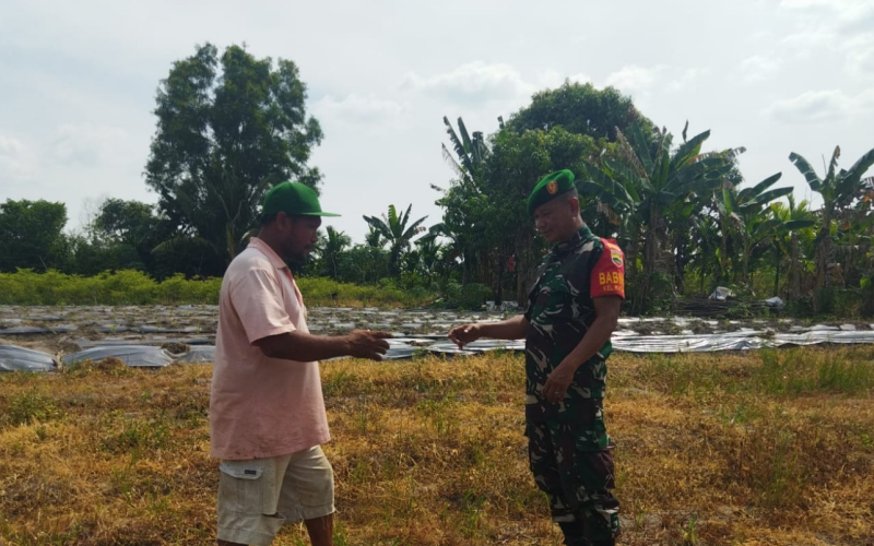 Babinsa Koramil 01 Dumai Patroli Karhutla Rutin