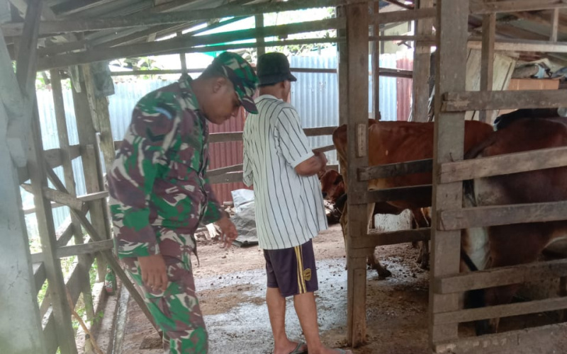 Babinsa Koramil 03 Sungai Sembilan Sosialisasi di Peternakan