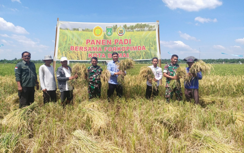 Kodim 0320 Dumai Ikut Serta Dalam Penanaman Padi Bersama Forkopimda